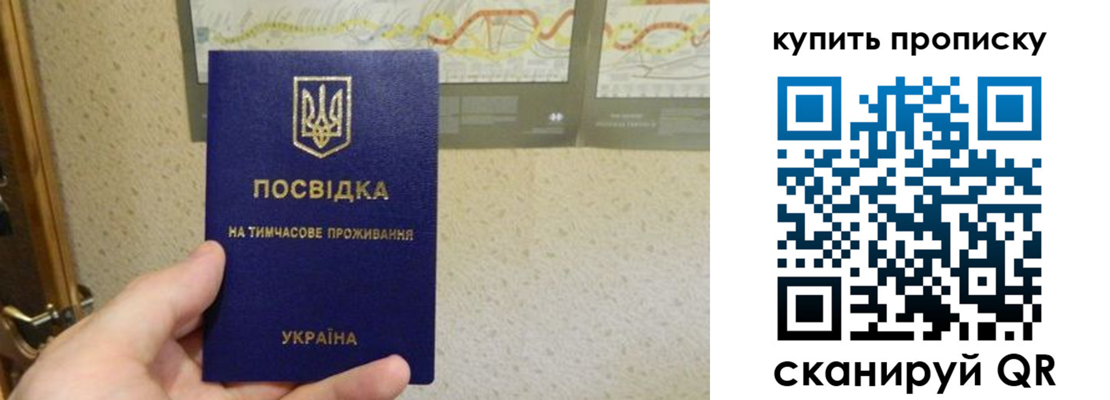 временная регистрация поиск в Цимлянске